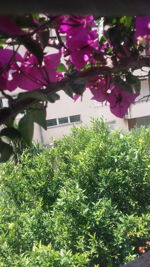 Centar Guest House Makarska Eksteriør bilde